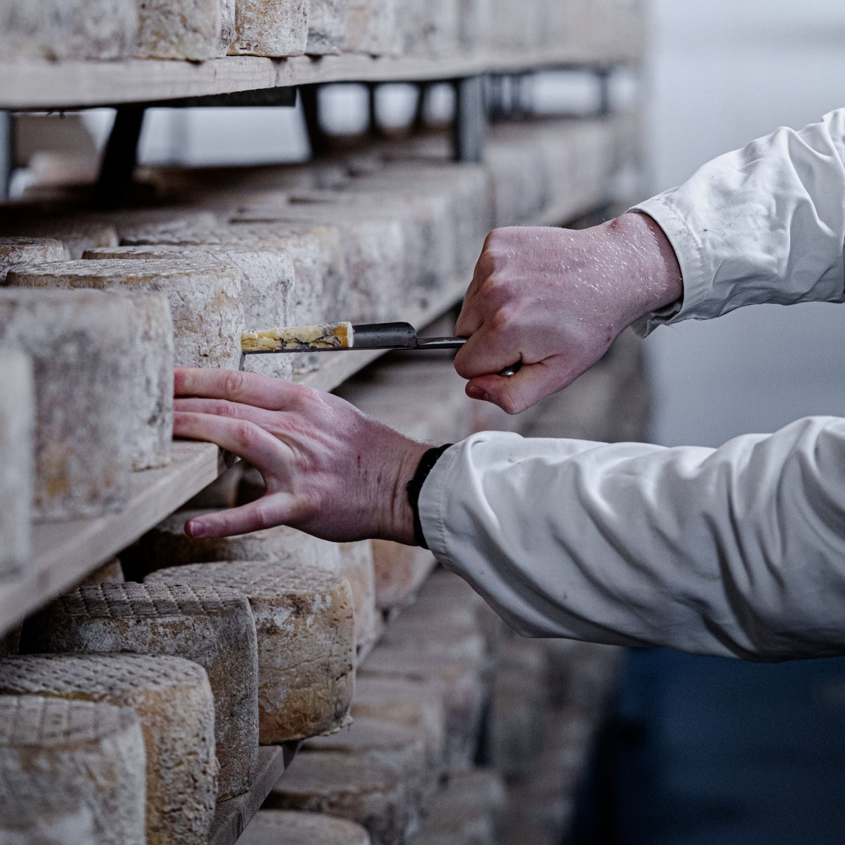 Cornish Blue - cornishblue-5.000 - Cheese - The Cornish Cheese Co