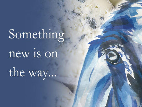 Exciting news coming soon… - The Cornish Cheese Co