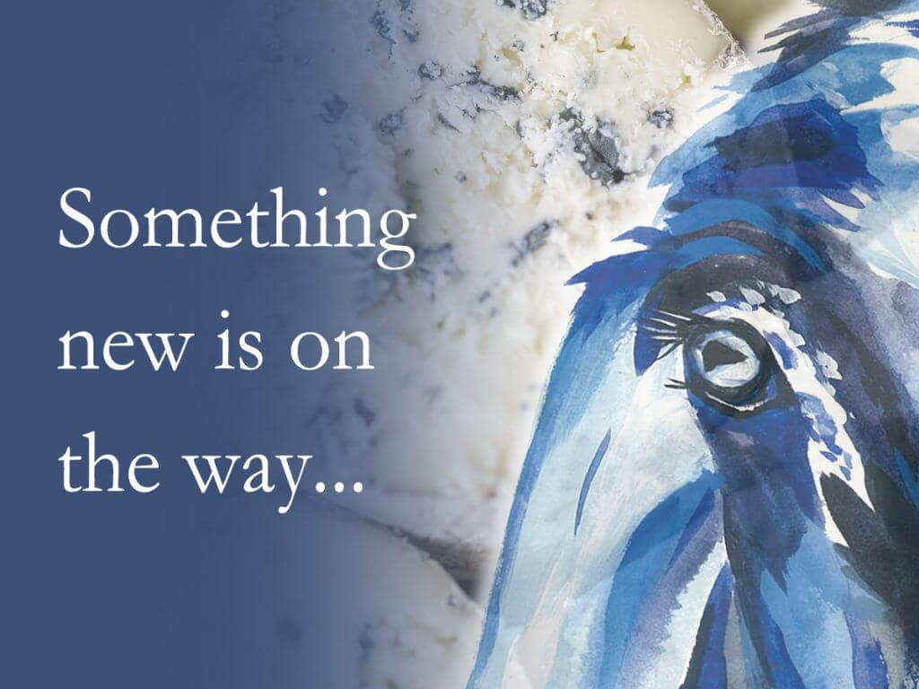 Exciting news coming soon… -  The Cornish Cheese Co